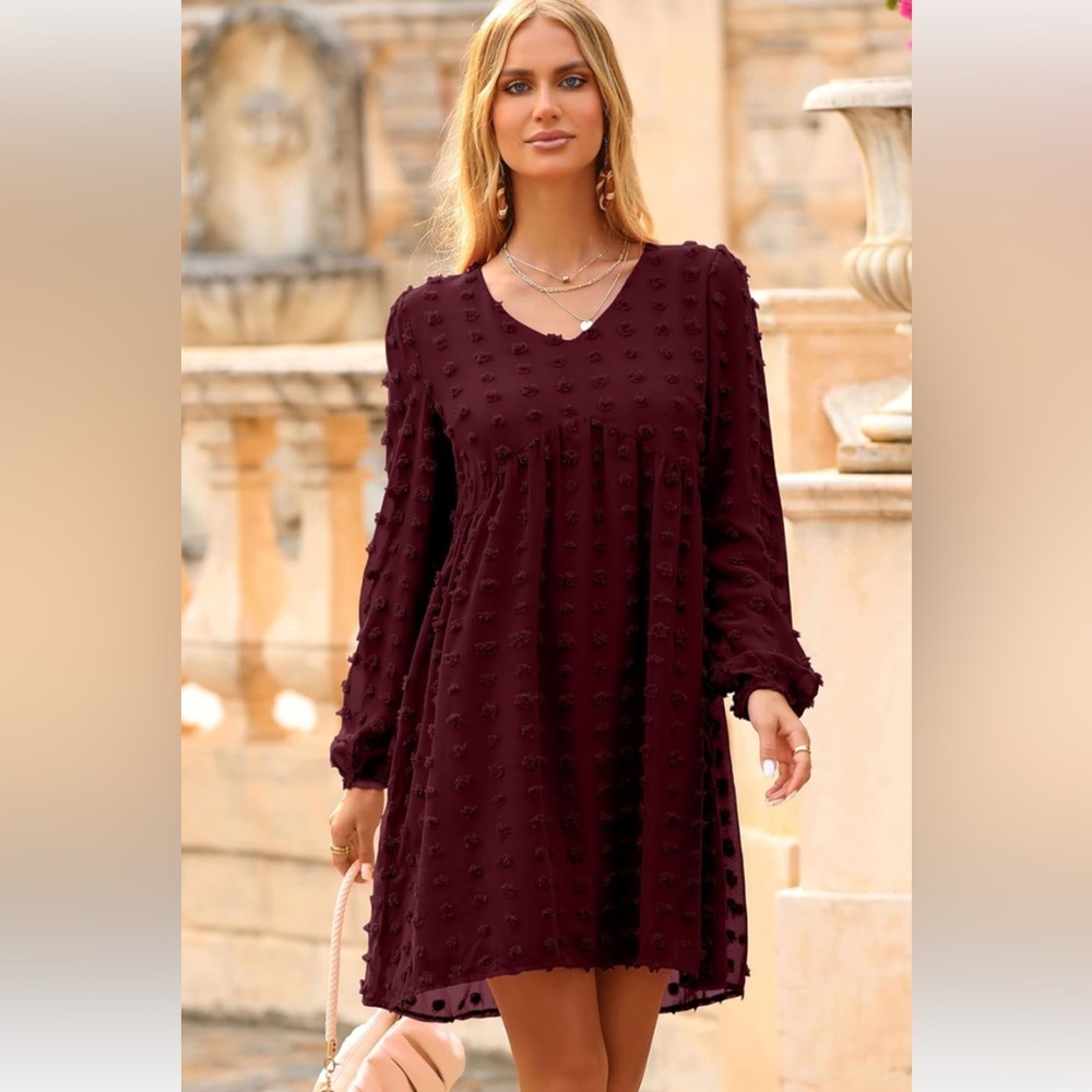 Boutique Swiss Dot Sheer Sleeve Mini Dress